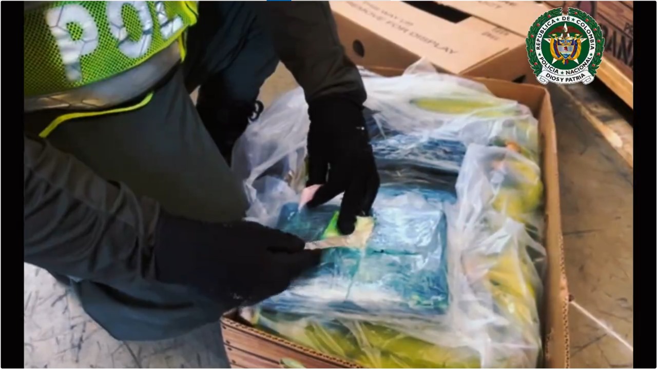 Incautan 335 kilos de cocaína en Santa Marta: iba en un cargamento de bananos