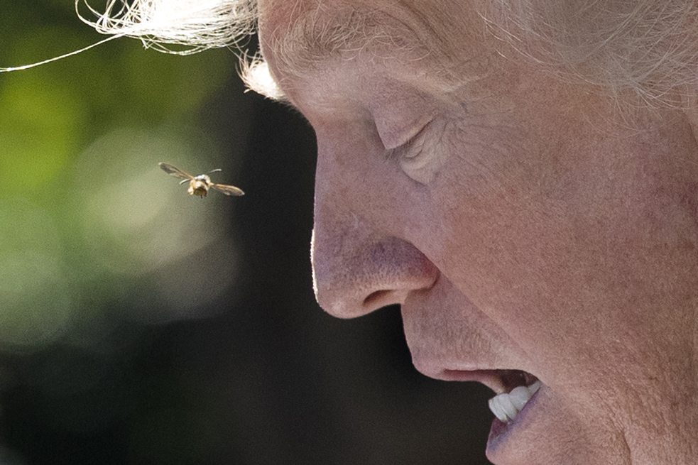 Donald Trump cumple 72 años