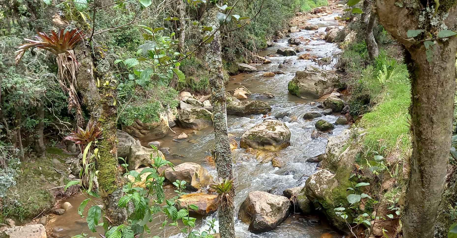 Programa la gran cuenca del río Teusacá, una experiencia de gobernanza
