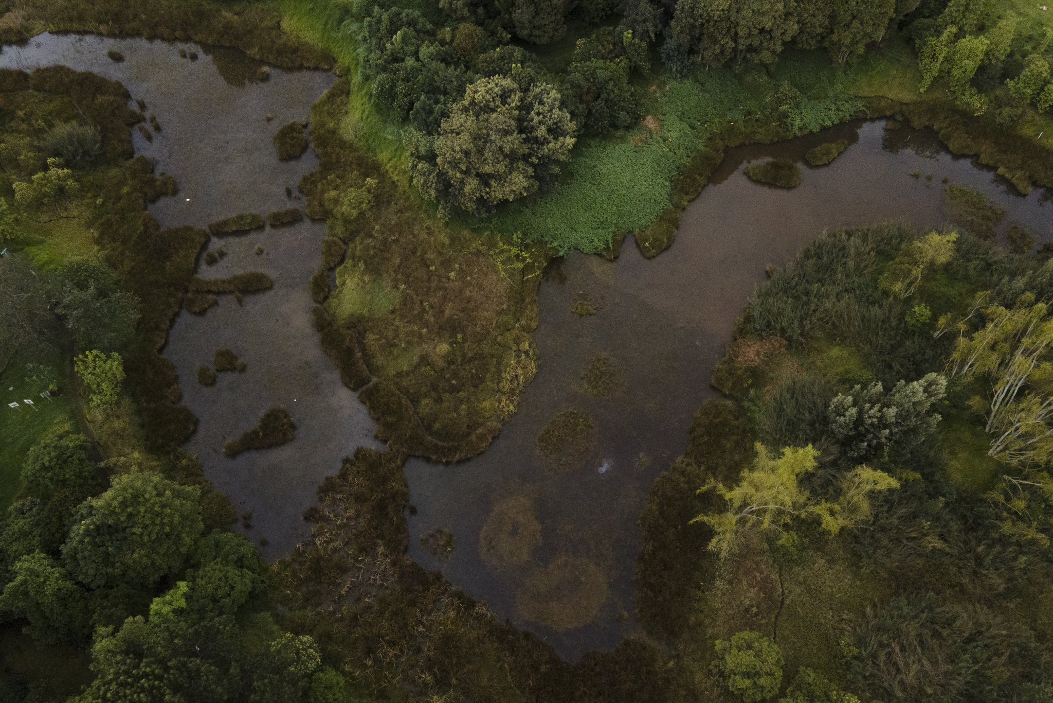 La urgencia de una Gobernanza efectiva en temas climáticos y ambientales en el país