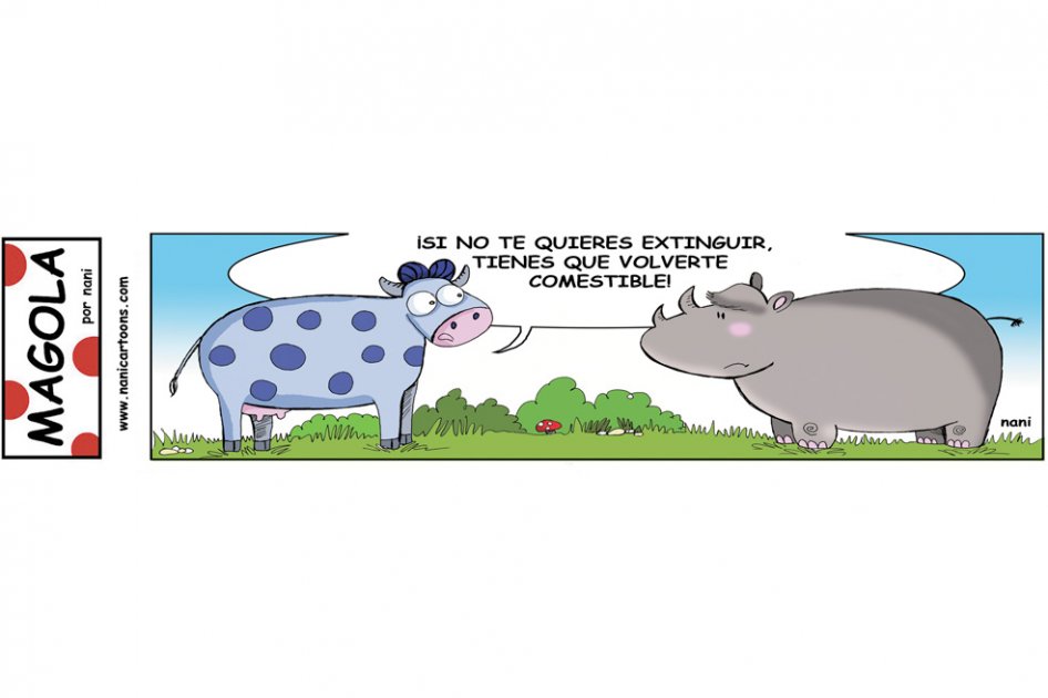 Consejo