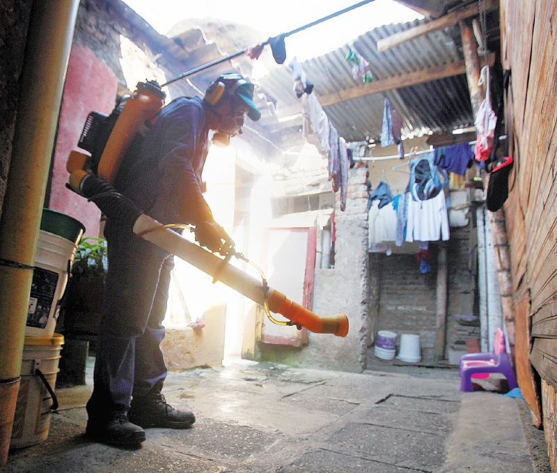 Mosquito del dengue supera la barrera de los 2.300 metros