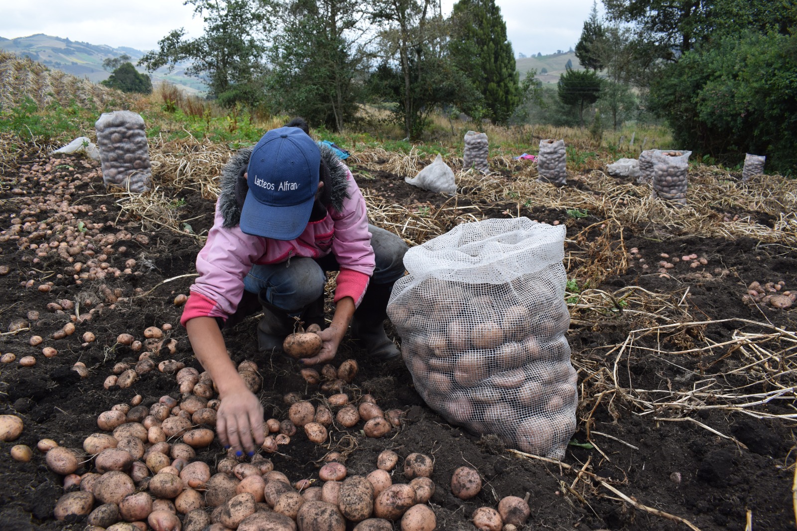 Salud y sostenibilidad en la alimentación