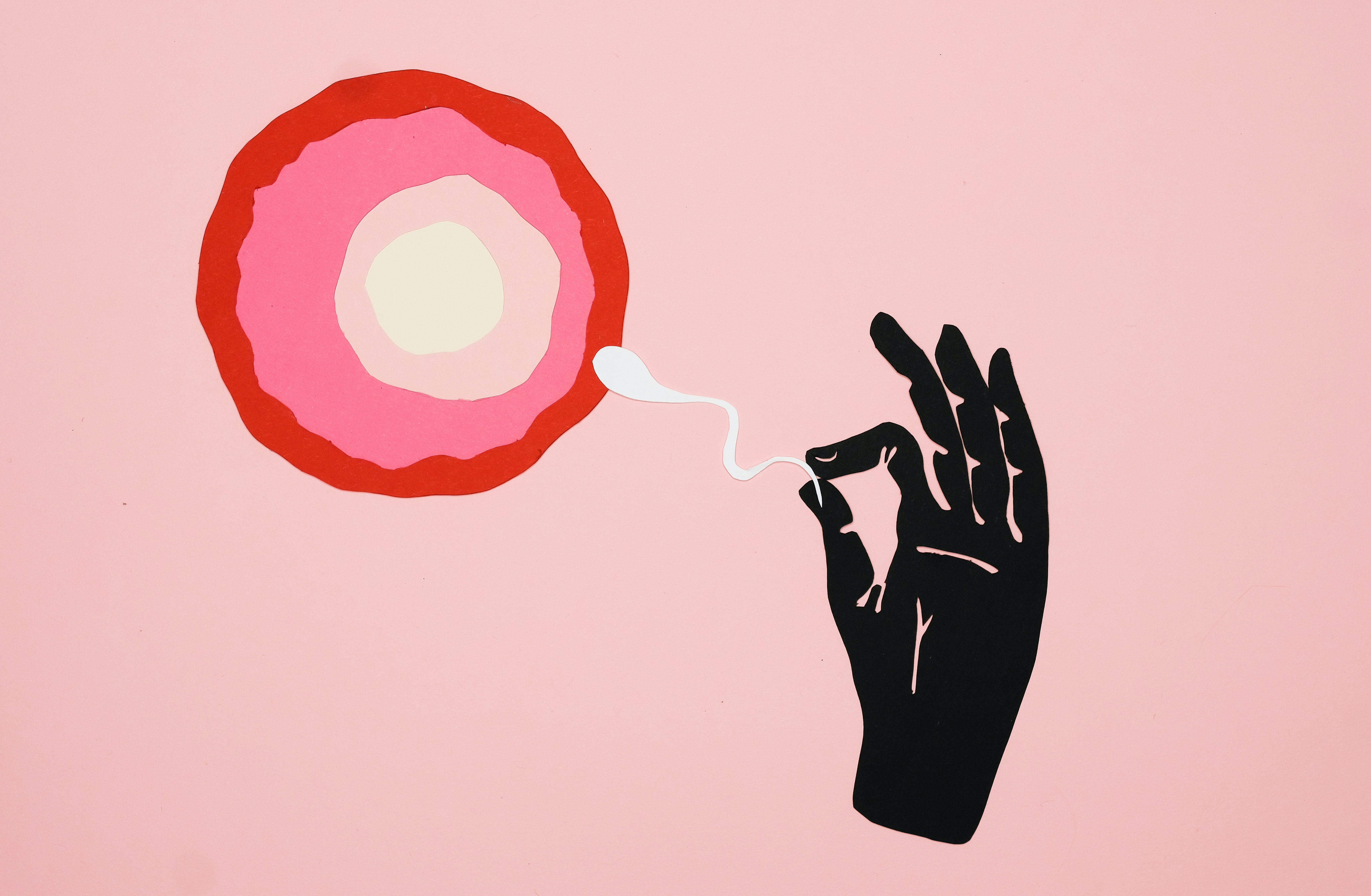 ¿Dónde terminan los espermatozoides tras la vasectomía? Lo que nadie cuenta