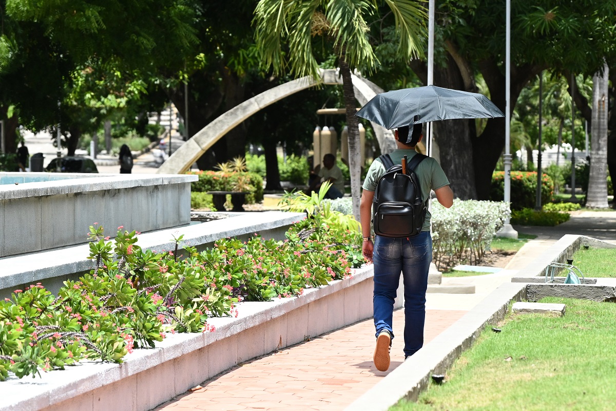 Ola de calor en Barranquilla: aplicación guía rutas peatonales más frescas