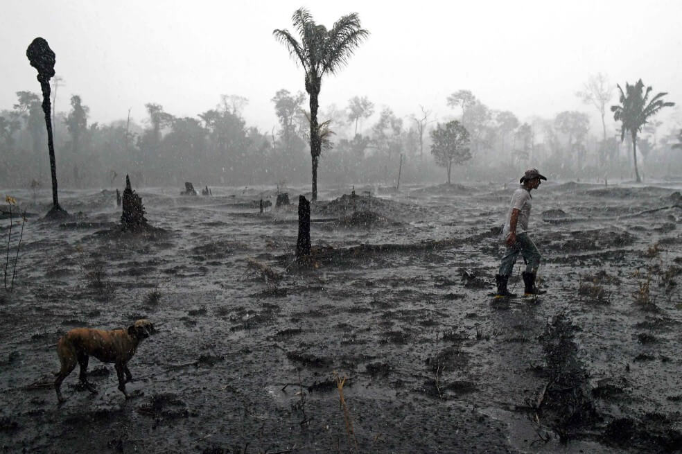 Deforestación de la amazonía brasileña rompe récord en noviembre