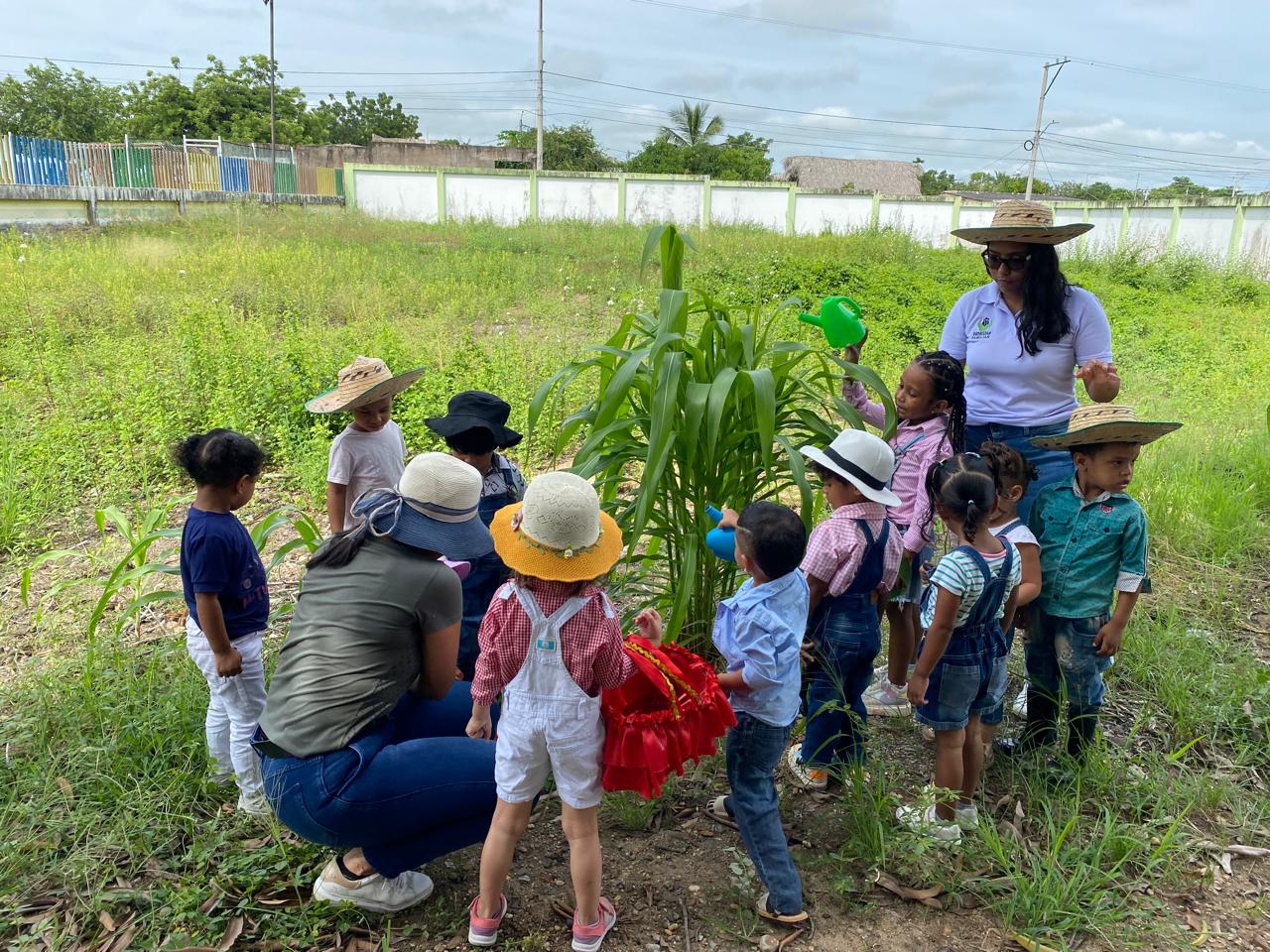 La huerta del CDI Pijiño ha sido diseñada para ser un entorno interactivo donde los niños pueden aprender sobre la agricultura ecológica, la reforestación y el cuidado ambiental de manera práctica y divertida.