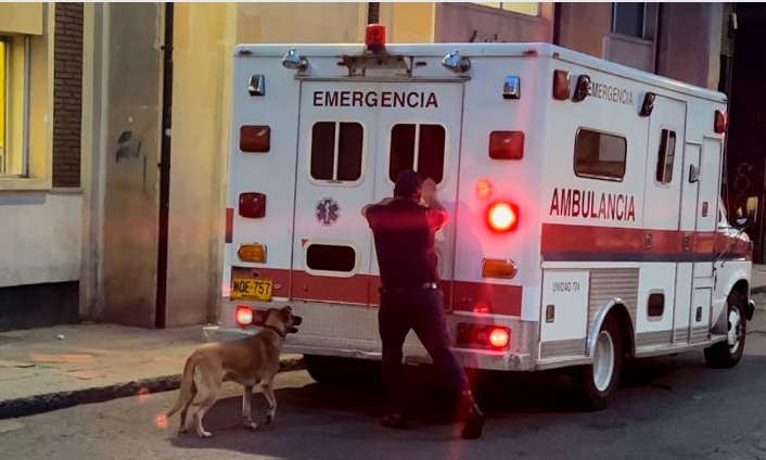 Toño, el perrito que corre detrás de una ambulancia para no dejar a su amo