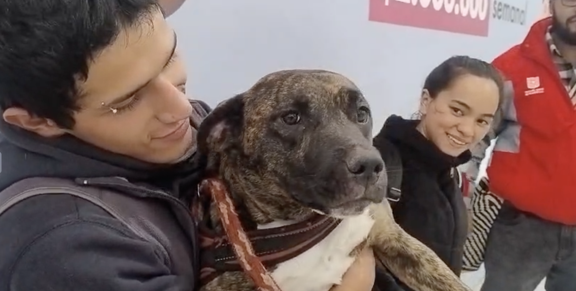 Perrita, que fue adoptada por un conductor de TransMilenio, es devuelta a su familia