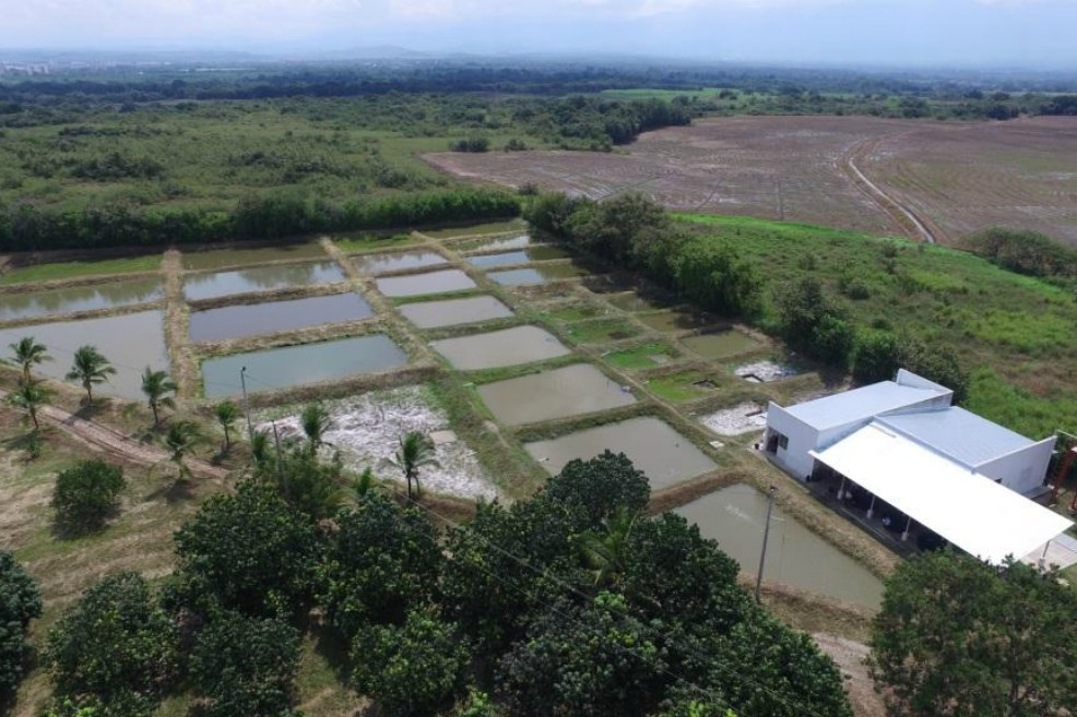 Un proyecto para salvar a los peces del Magdalena