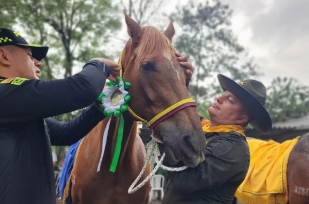 Perros y caballos retirados de la policía son adoptados: así fue la ceremonia