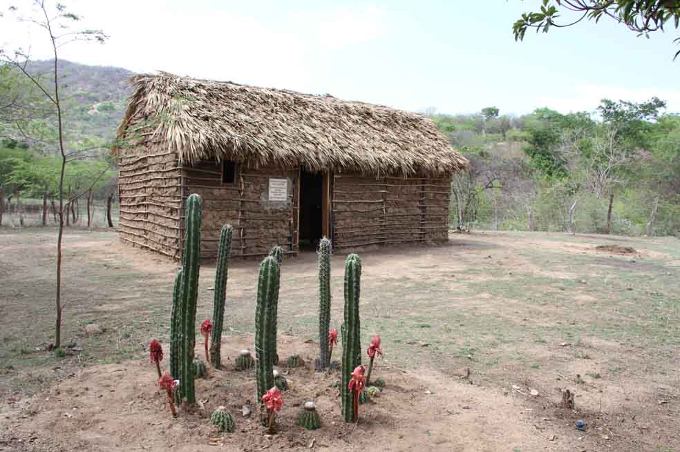 Tras los pasos del ‘Cacique’