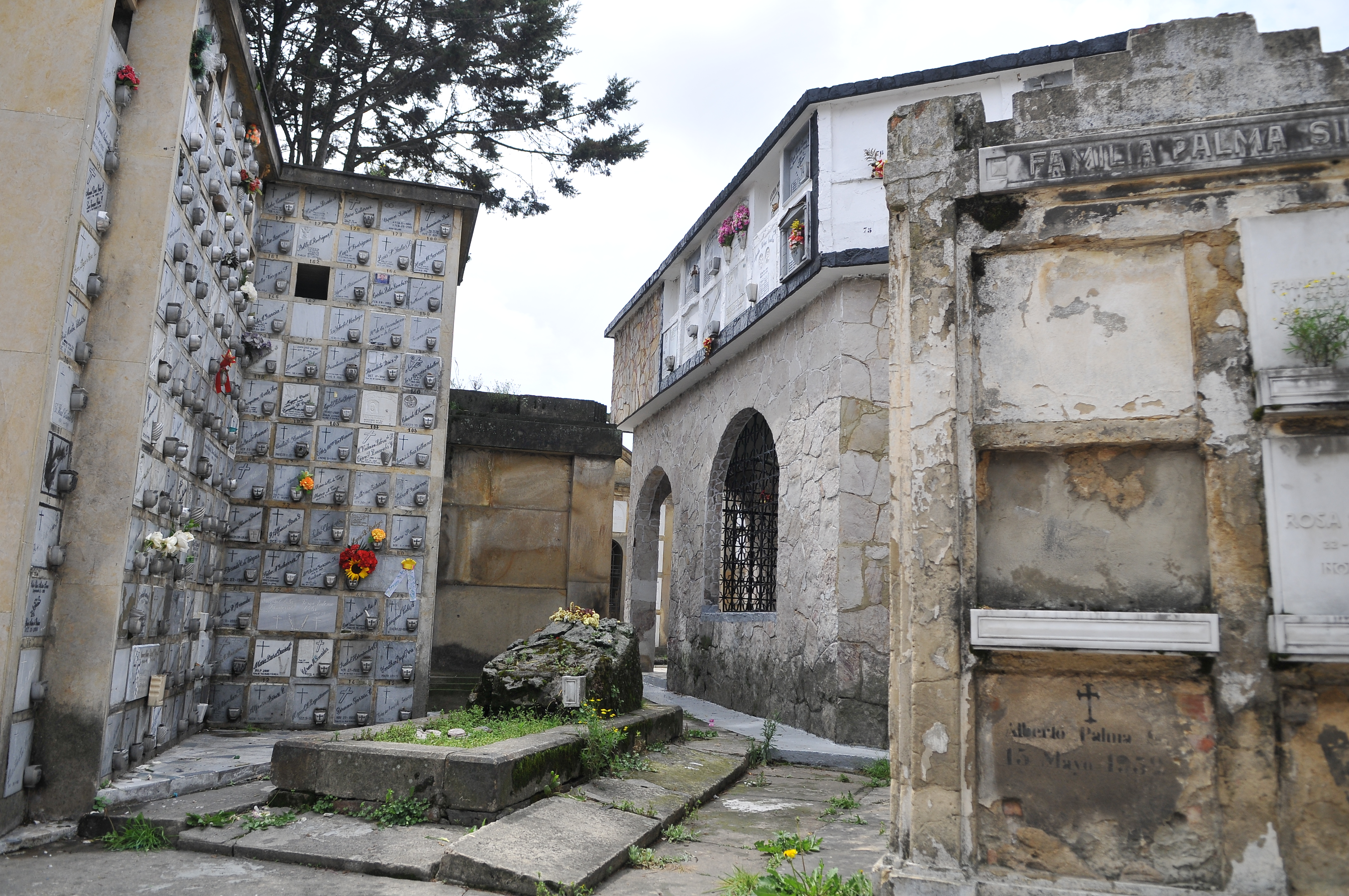 Aprueban plan para proteger el Cementerio Central y fortalecer los servicios funerarios