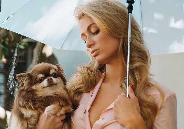 “La huella de tus patas nunca se borrará”: Paris Hilton lamenta la muerte de su mascota