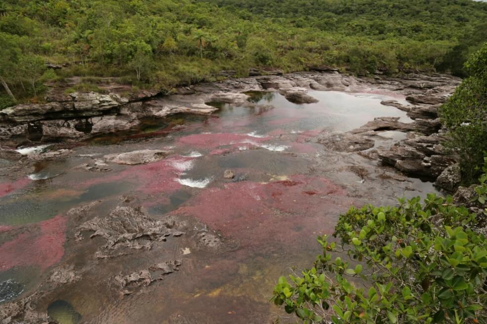Cerrado el ingreso a Caño Cristales por inicio de  temporada seca