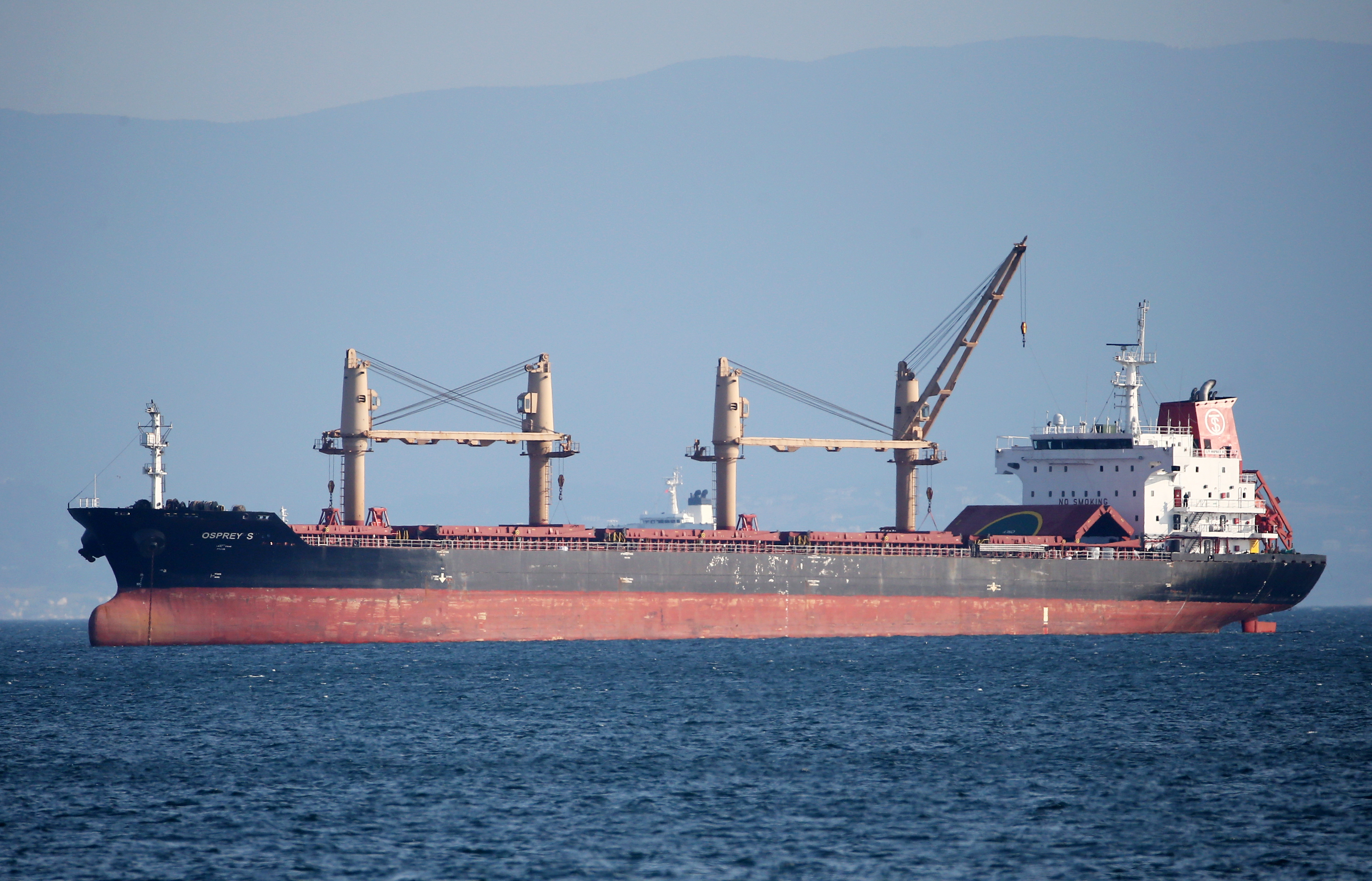 El acuerdo entre Rusia y Ucrania sobre el mar Negro: ¿el primer paso hacia la paz?