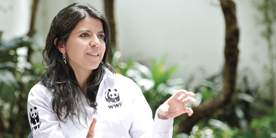 “No comía mucho pescado, pero tenía alta concentración de mercurio en el cuerpo”: Paula Rodríguez