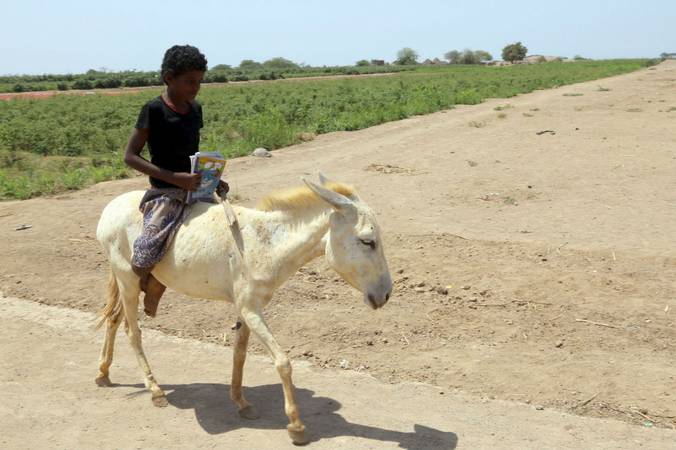 Yemen: cuando estudiar es una catástrofe