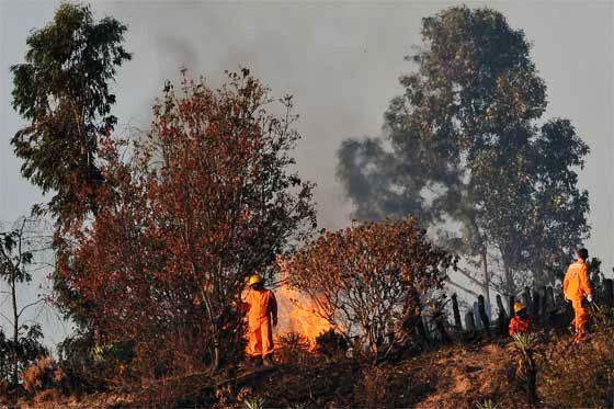 Declaran alerta roja en 20 municipios de Caldas por incendios forestales