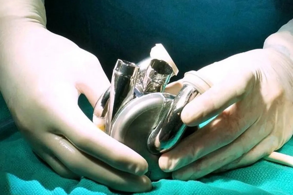 El corazón fue desarrollado por BiVACOR, una empresa encargada de elaborar dispositivos médicos en etapa clínica.