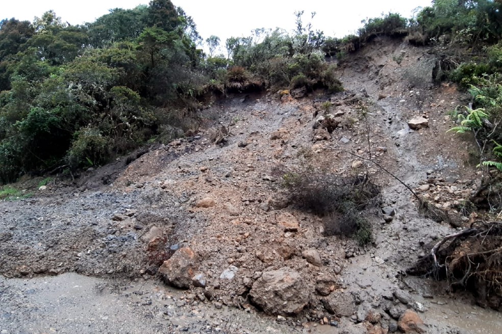 El sector de Mina Palacio, dentro del Parque Nacional Natural Chingaza, ha sido el más afectado.
