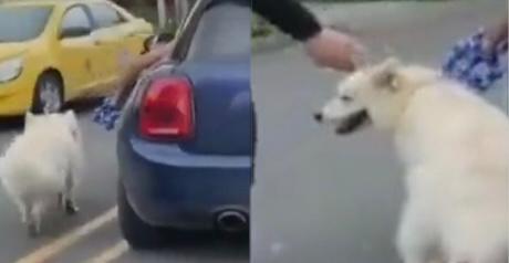 Indignación por hombre que arrastró a perro desde un carro en plena vía de Bogotá