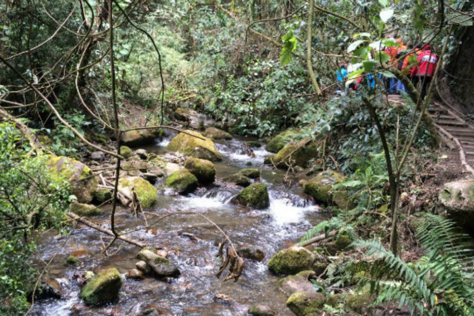 Alcaldía de Chapinero entregó recuperación de la quebrada Morací