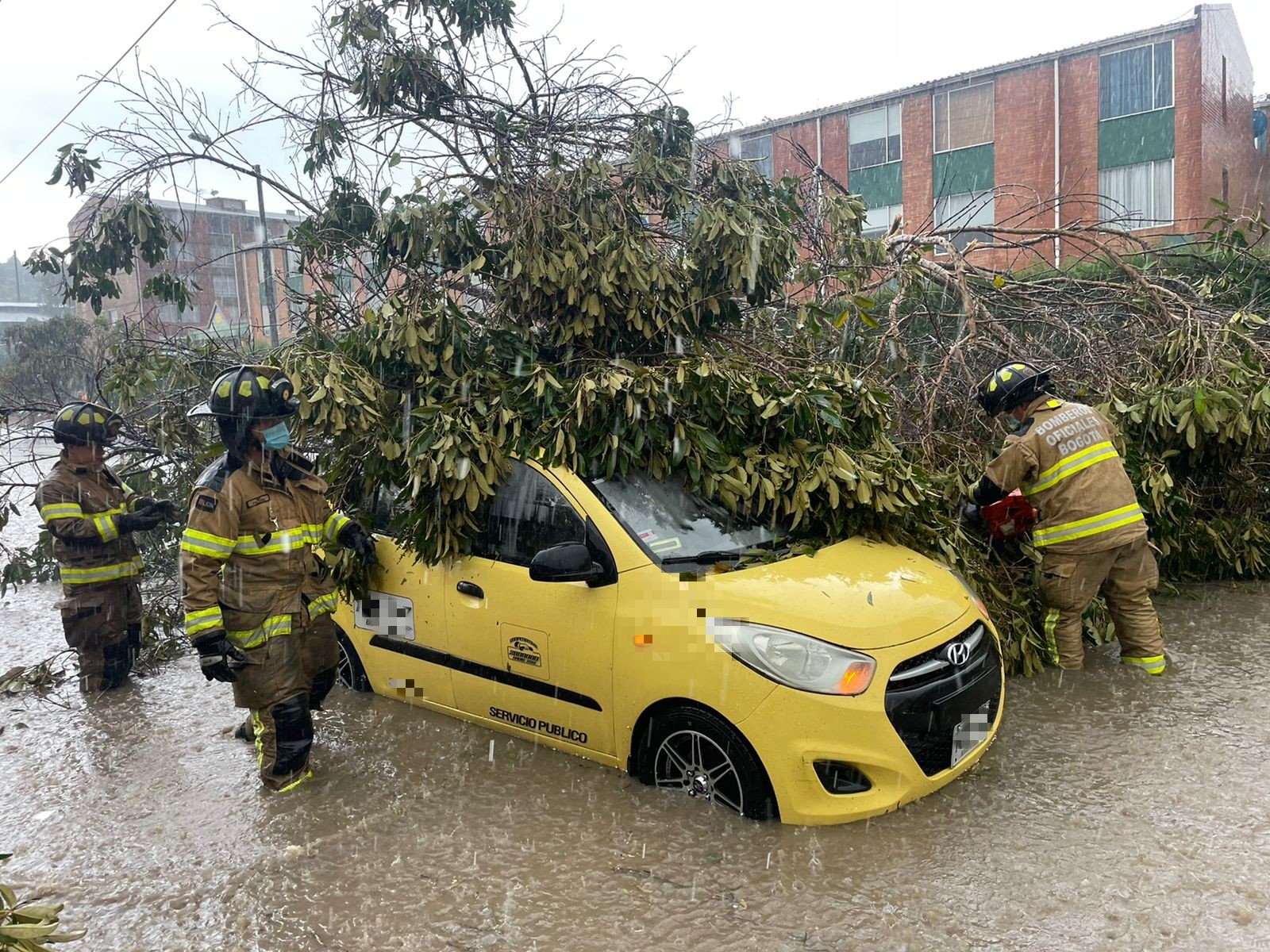 Por fuertes lluvias en Bogotá, un árbol cayó sobre un taxi