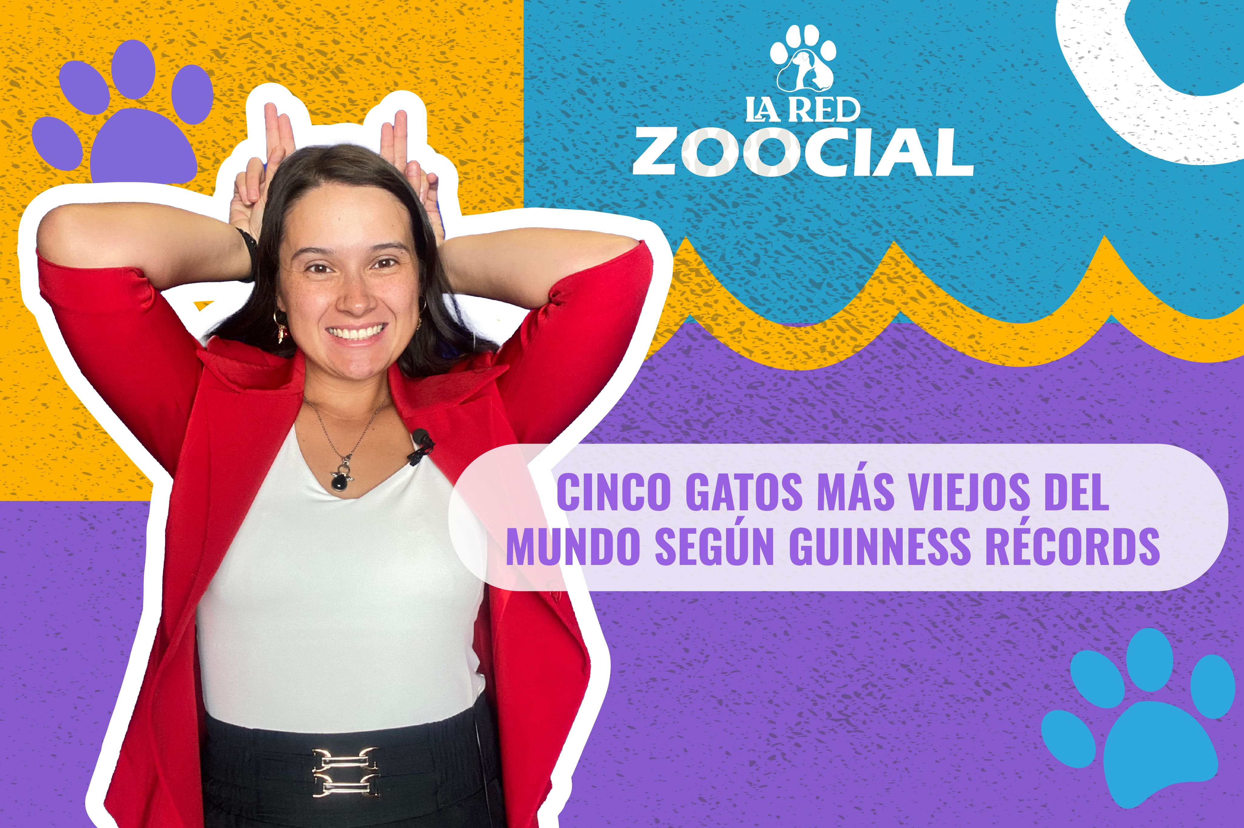(VIDEO) Cinco gatos más viejos del mundo según Guinness Récords