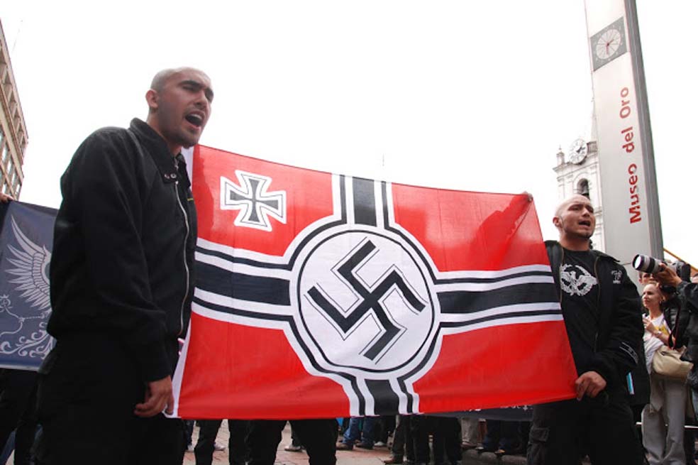 El proyecto político de los neonazis