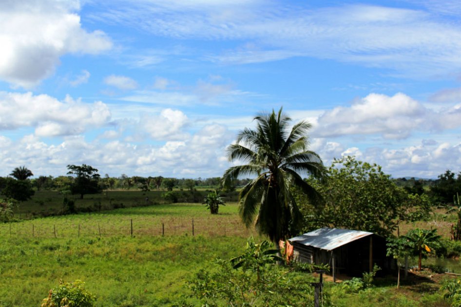 Corte ordenó la restitución de tierras a campesinos de la hacienda Guacamayas