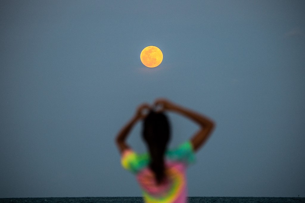 ⠀Una niña aprecia la superluna rosa en Miami Beach.