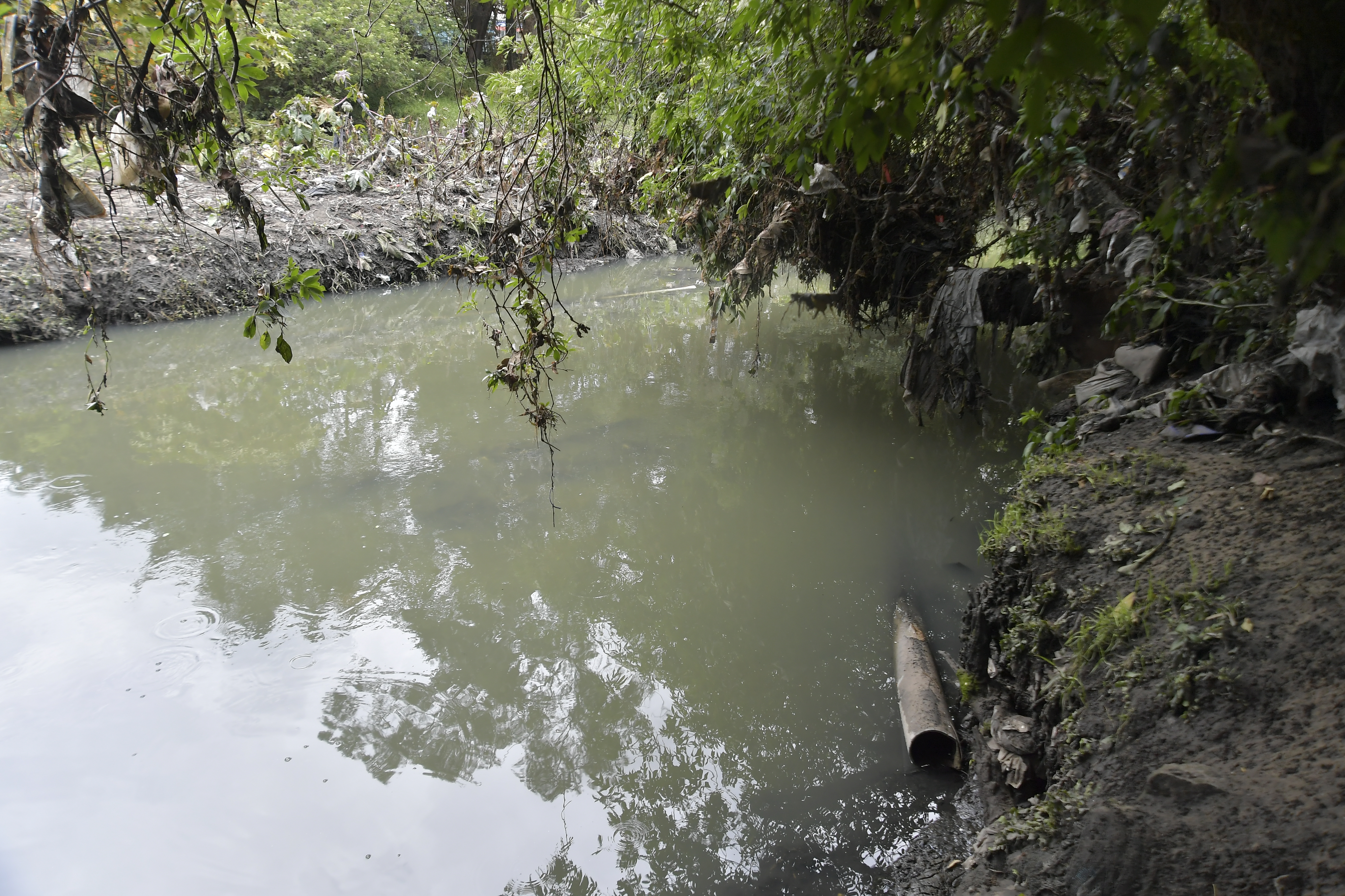 Humedal Córdoba: cada vez más contaminado y en riesgo de perder espejos de agua