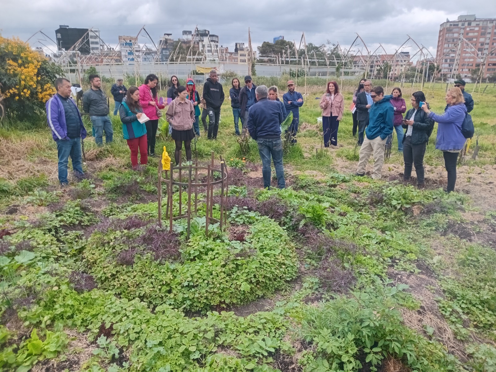 A pesar de sus beneficios, las huertas urbanas enfrentan barreras normativas, como la prohibición del uso de agua del acueducto y la falta de regulaciones claras que respalden su desarrollo.