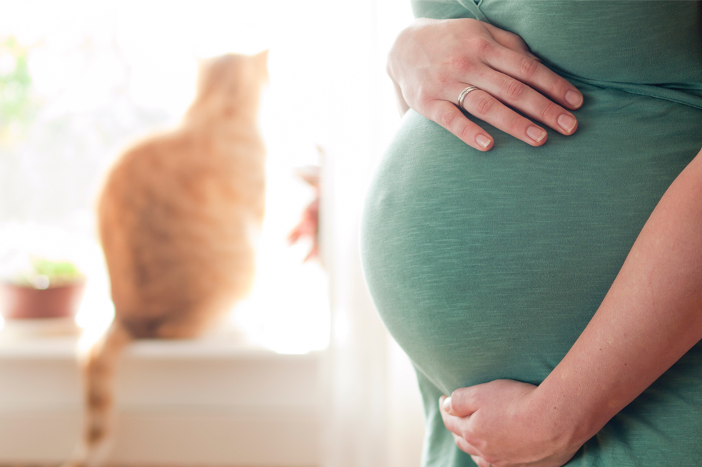 Toxoplasmosis en el embarazo: sugerencias para evitarla