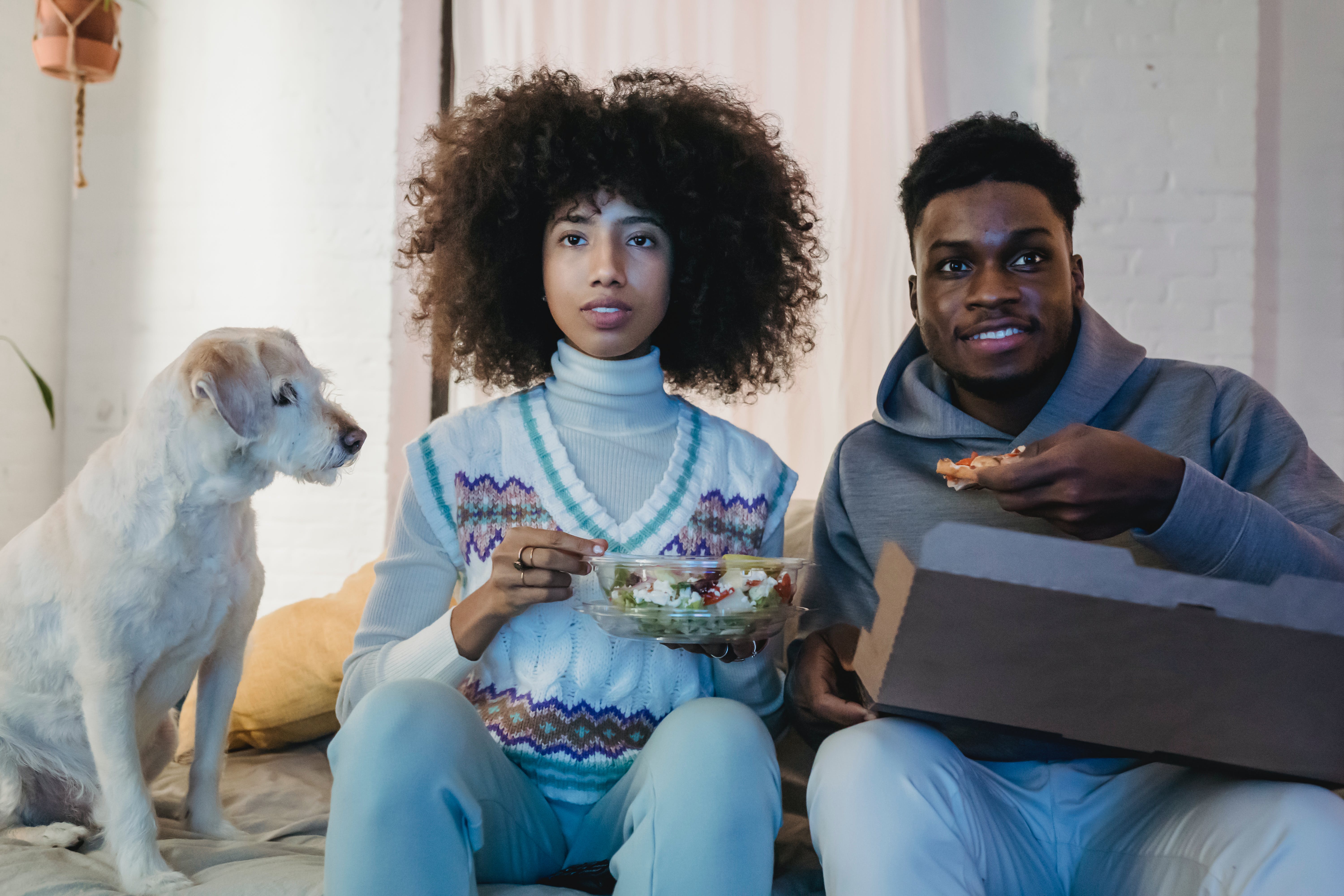 Cinco películas para ver con tu perro o gato en Navidad, ¿cuál es tu favorita?