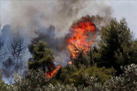 Alerta por incendio forestal en Nobsa, Boyacá