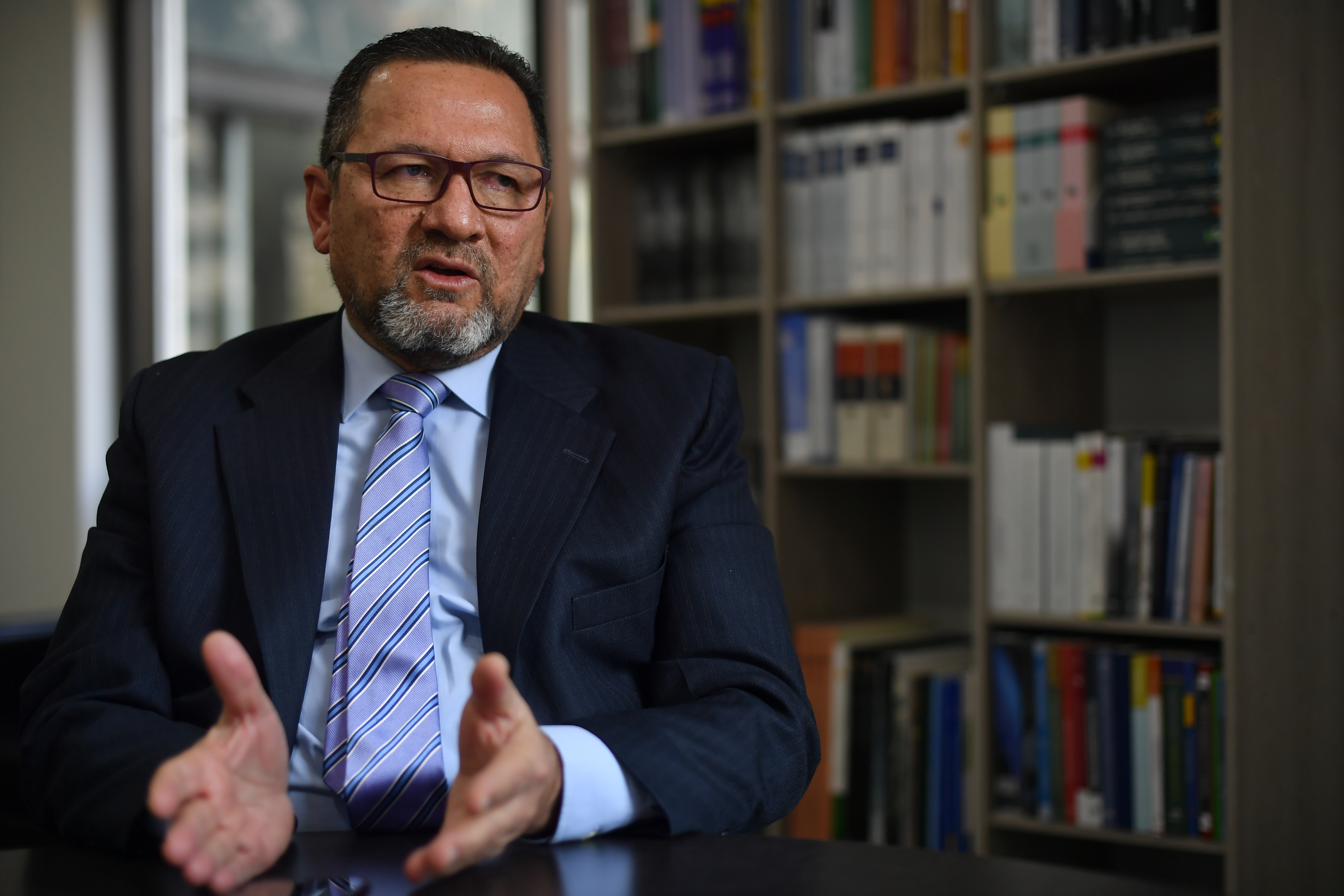 Director Agencia Nacional de Defensa Jurídica del Estado