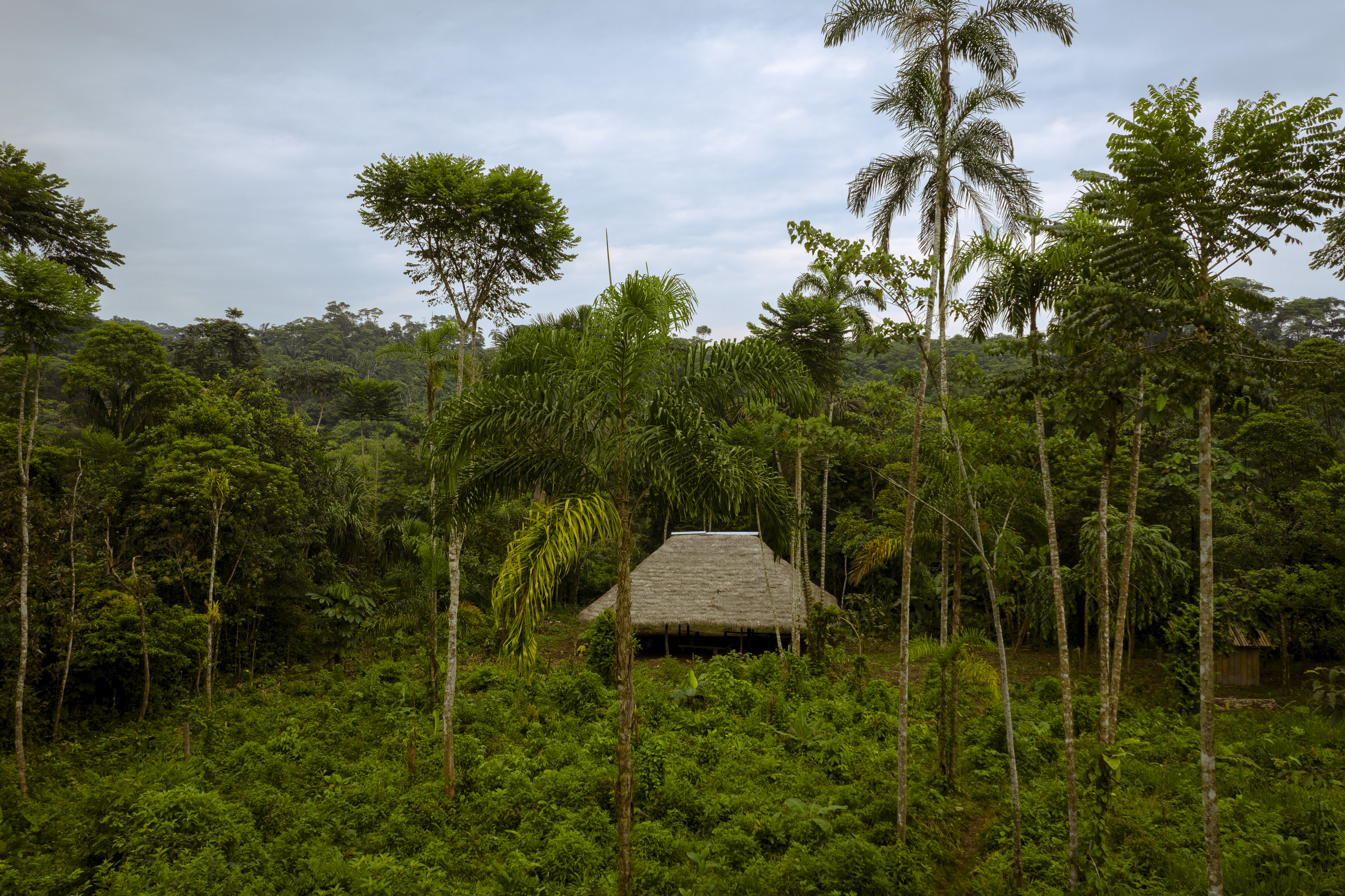 Indígenas piden que sean reconocidos como protectores de la Amazonía