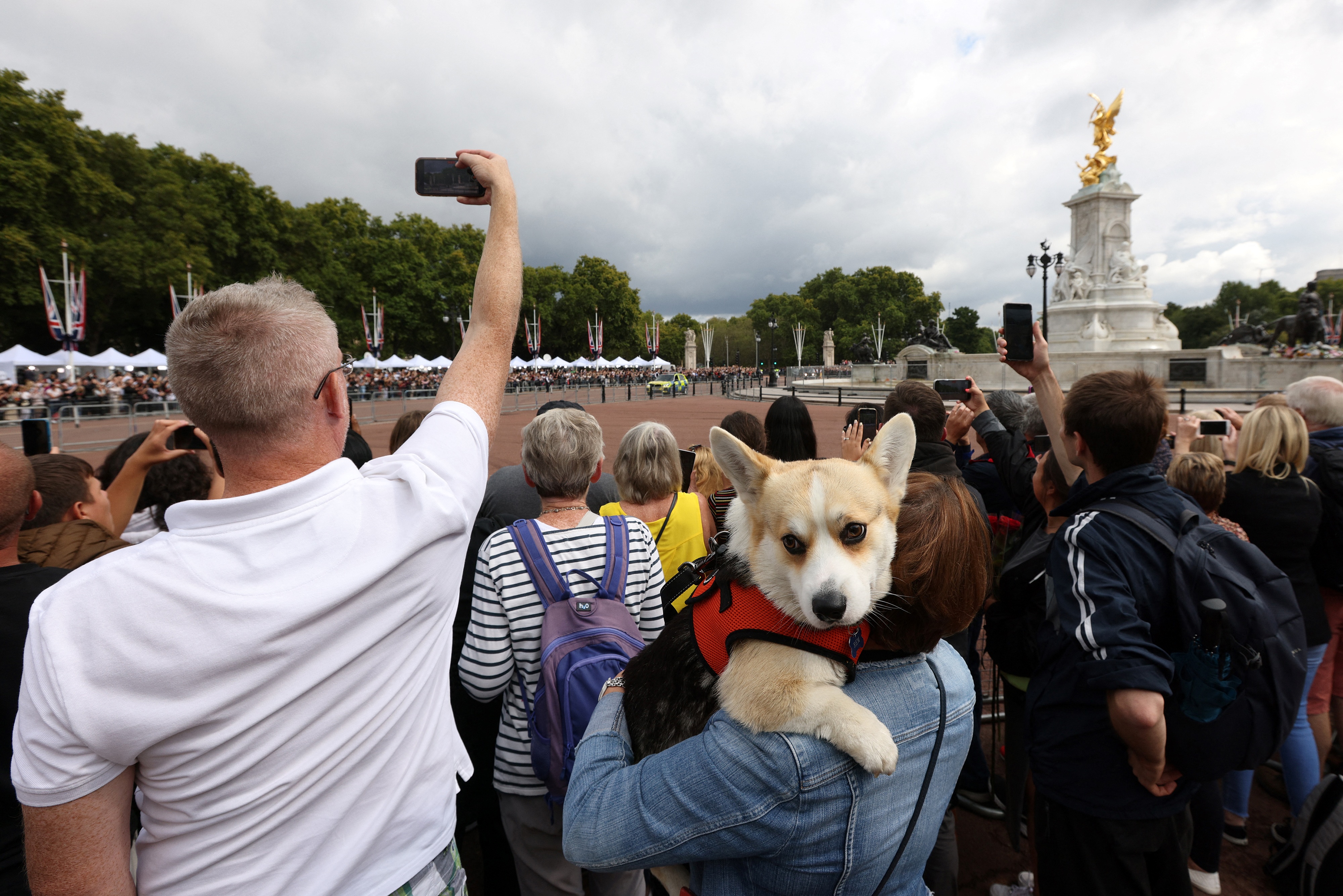 Un miembro del público sostiene un perro corgi mientras esperan para ver al rey Carlos III de Gran Bretaña mientras lo llevan de regreso al Palacio de Buckingham en Londres el 10 de septiembre de 2022, dos días después de que la reina Isabel II muriera a la edad de 96 años. - Carlos III de Gran Bretaña fue proclamado rey oficialmente en una ceremonia el sábado, un día después de que juró en su primer discurso ante los dolientes que emularía a su "querida mamá", la reina Isabel II, quien murió el 8 de septiembre.