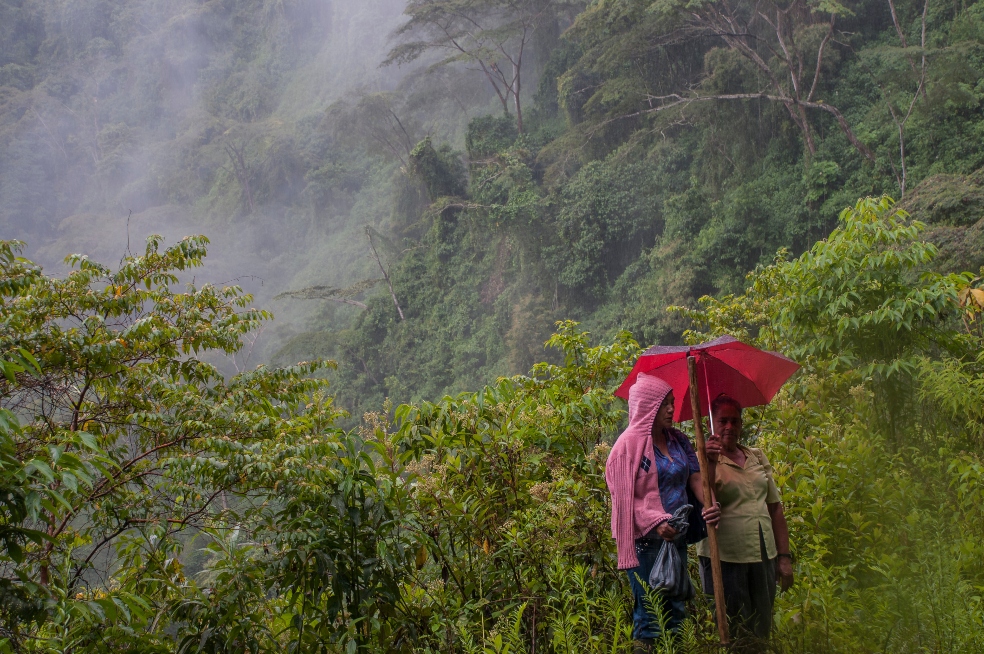 Dos mujeres se encuentran en medio de las montañas selváticas protegiéndose bajo una sombrilla de la lluvia.