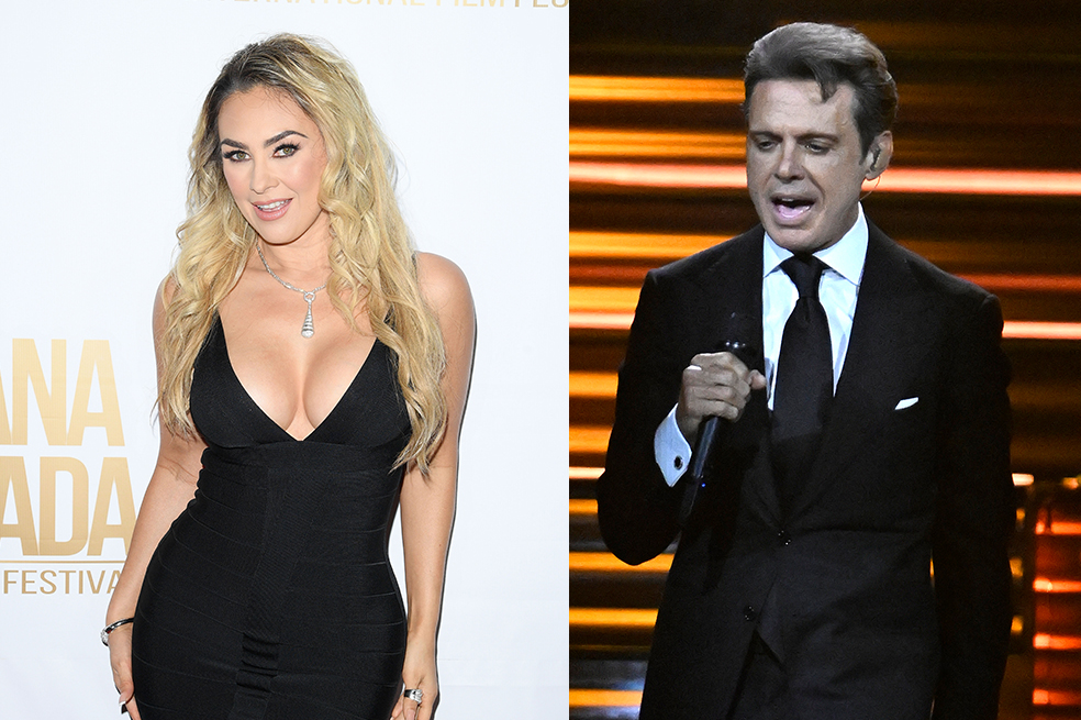 Luis Miguel y Aracely Arámbula: ¿Cumplirá la condición para ver a sus hijos?