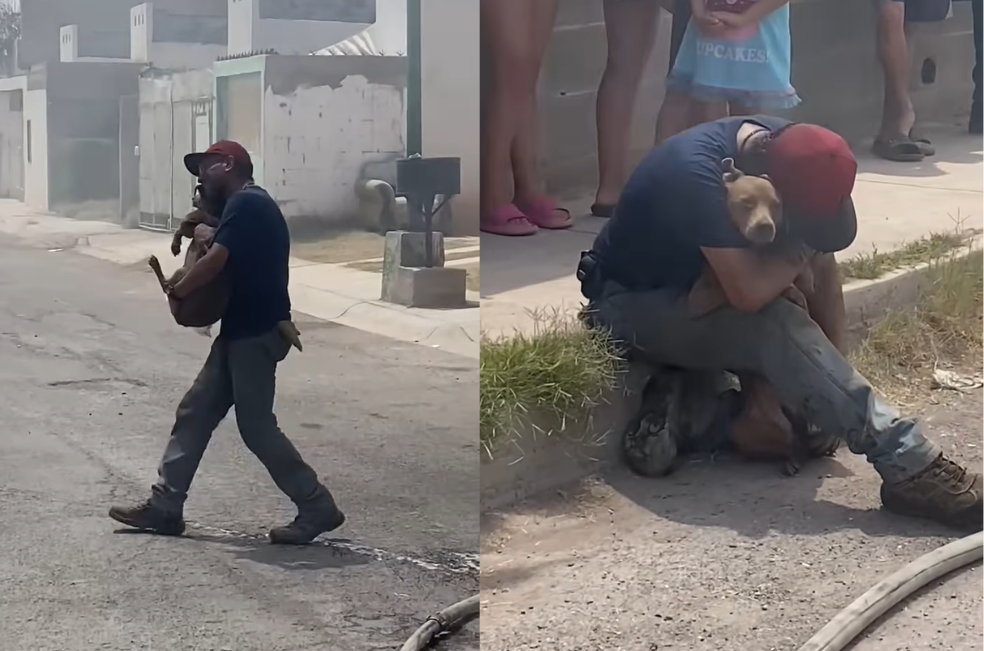 Encontró a su perrita viva tras incendio en su casa