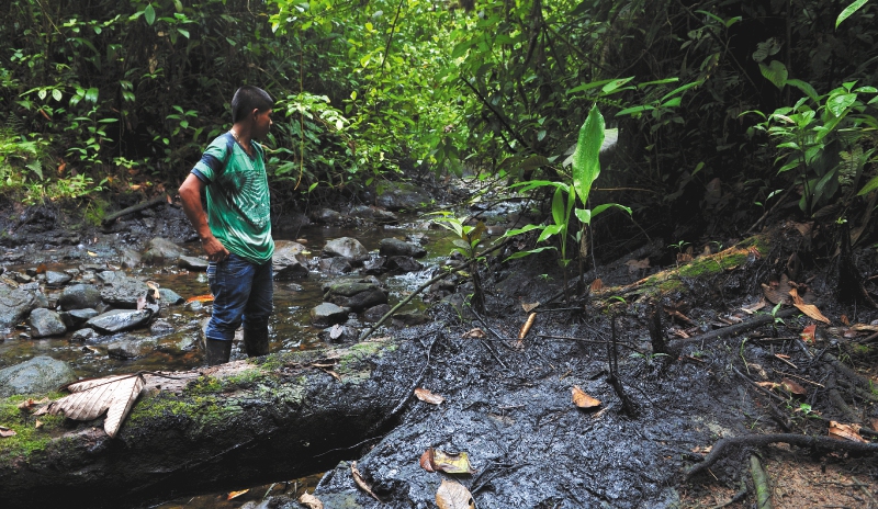 La comisión ambiental indígena que espera luz verde del Gobierno para arrancar
