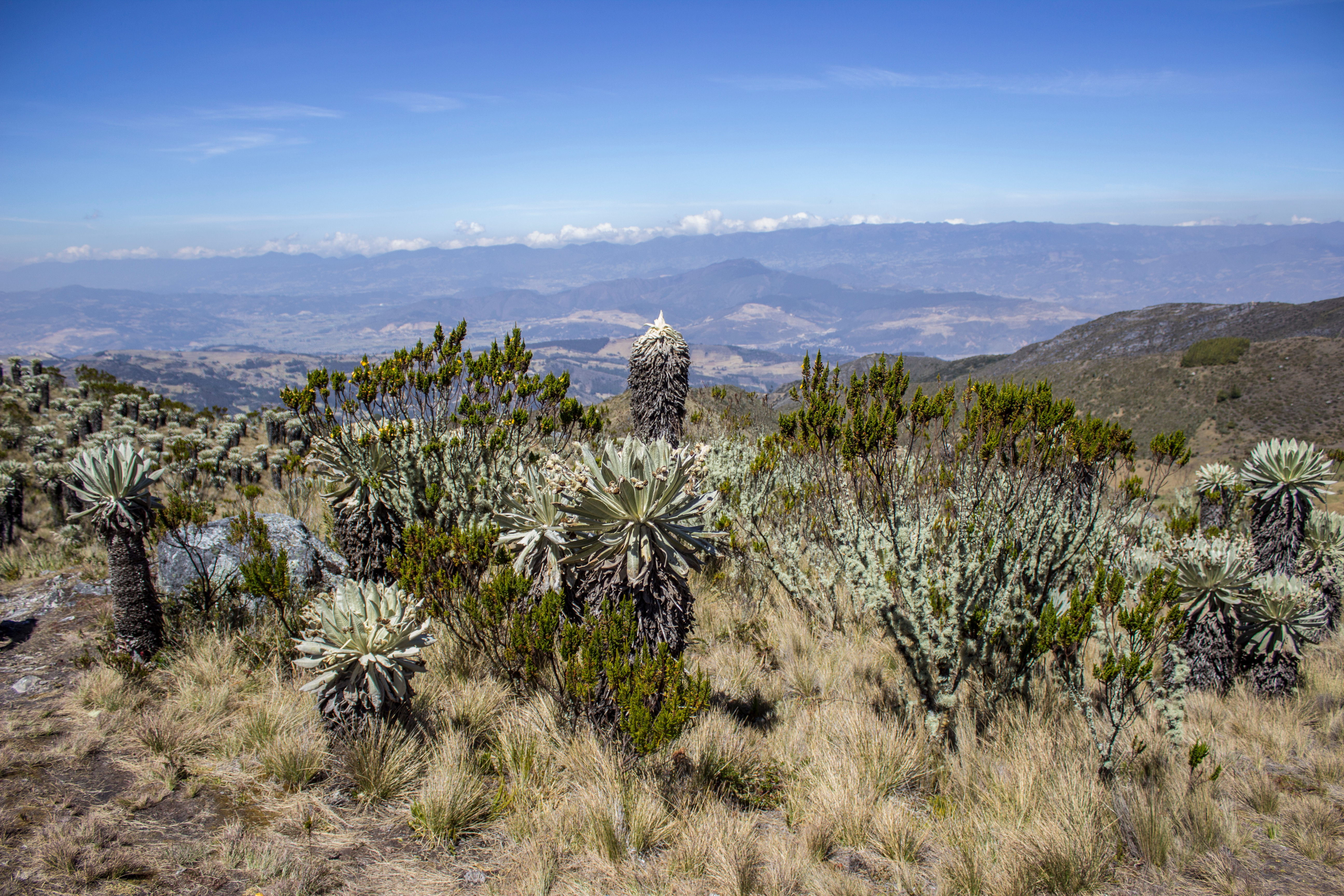 Estabilizar el turismo: el objetivo del municipio de Choachí, Cundinamarca