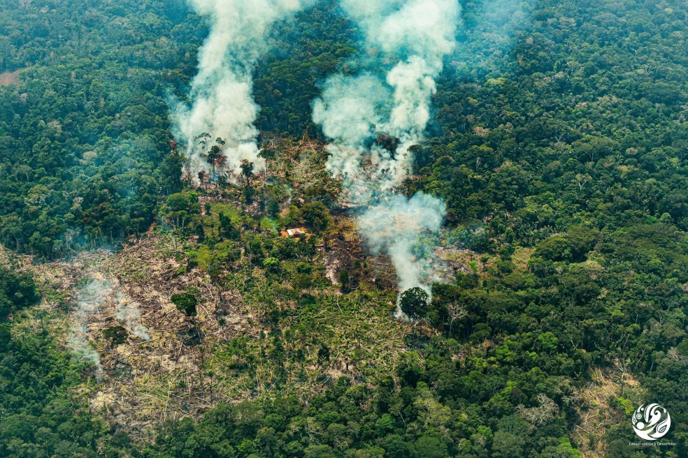 En enero se reportaron 437 alertas de incendios diarias en los bosques del país