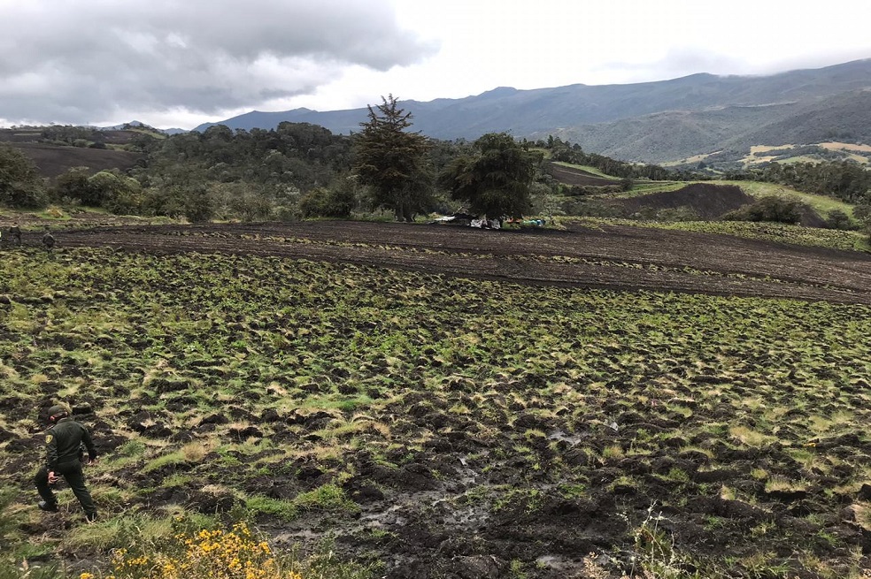 CAR sancionará a dueños de cuatro predios que realizaban actividades agropecuarias en Chingaza