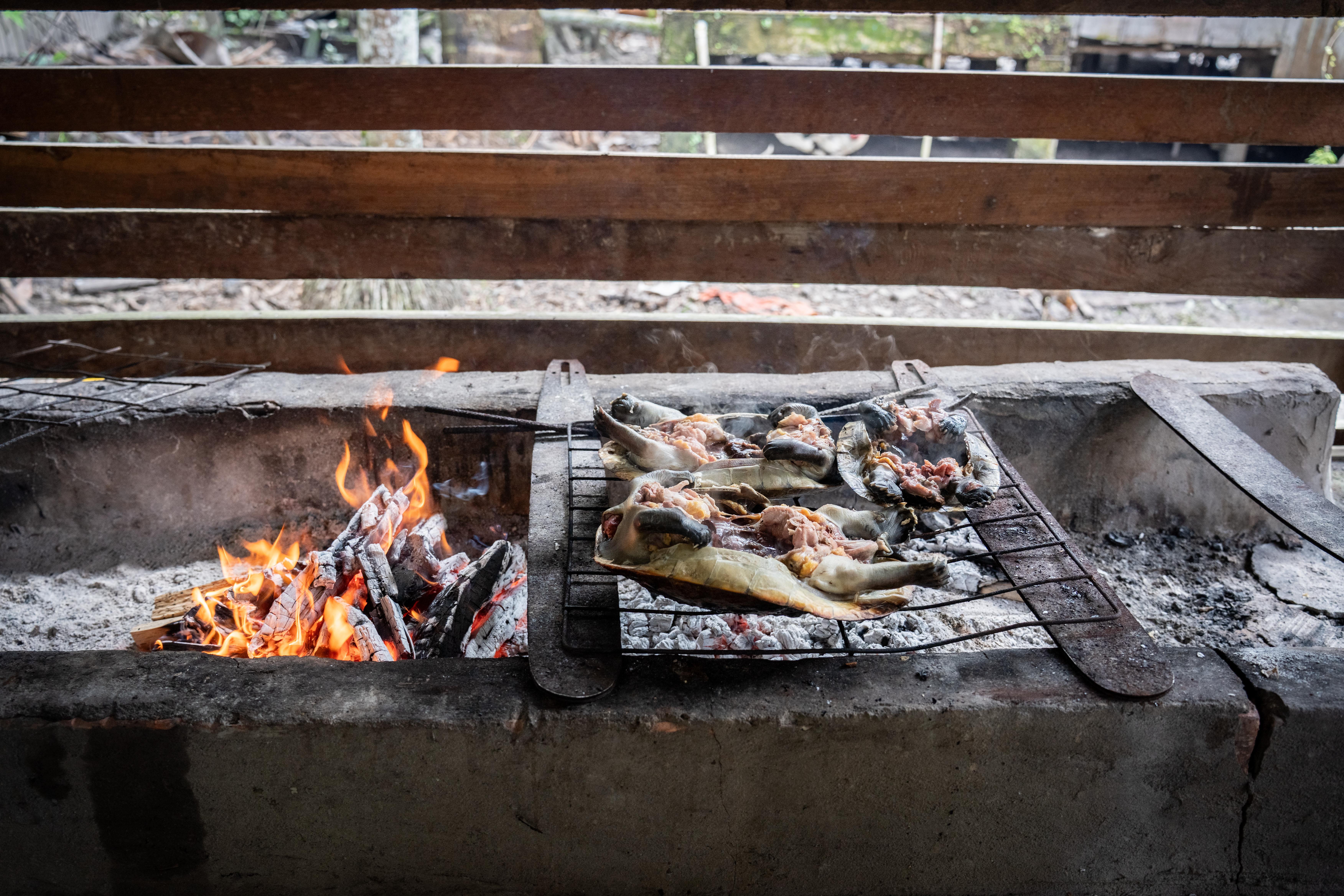Alimento tradicional amazónico