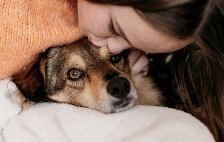 ¿Cuánto tiempo tarda un perro en querer a una persona?