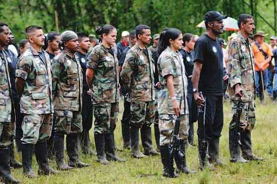 Condenan a la Nación por despojo de tierras en zona de distensión en proceso de paz con las Farc